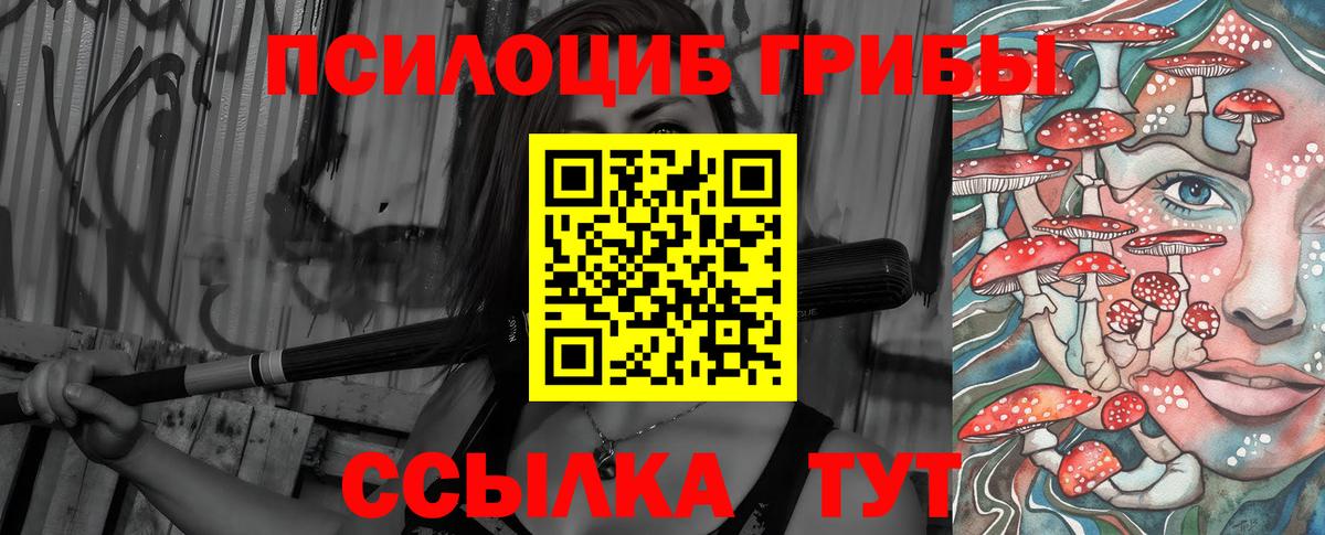 Буйнакск  Псилоцибиновые грибы MAGIC MUSHROOMS  Вход с VPN 
